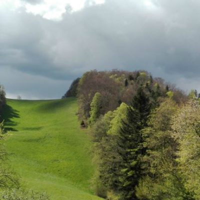 Combe où paissent souvent chamois et chevreuils<br>Malerisches Tälchen, wo oft Gämsen und Rehe weiden