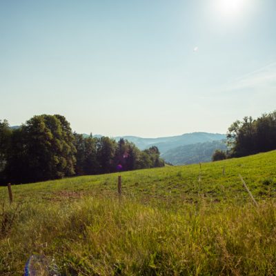 Une nature riche et variée dans un domaine agricole certifié Bio Suisse<br>Unbezahlbare Vielfalt: Die Grünlandflächen ist Biolandbau zertifiziert