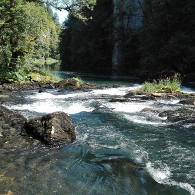 Le Doubs sauvage<br>Der ungezähmte Doubs